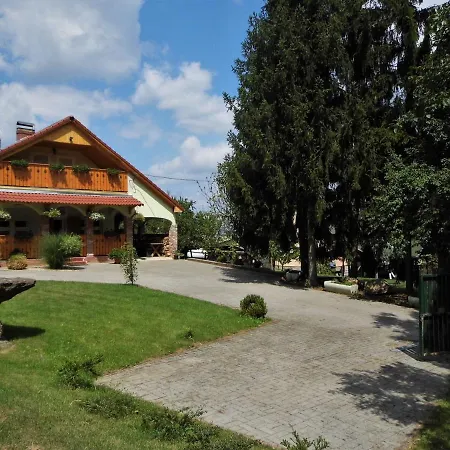 Gergely-haz, A Volt Peteri Dezsas Vendeghaz